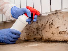 Forensic Mold Investigation in Lighthouse Point, FL